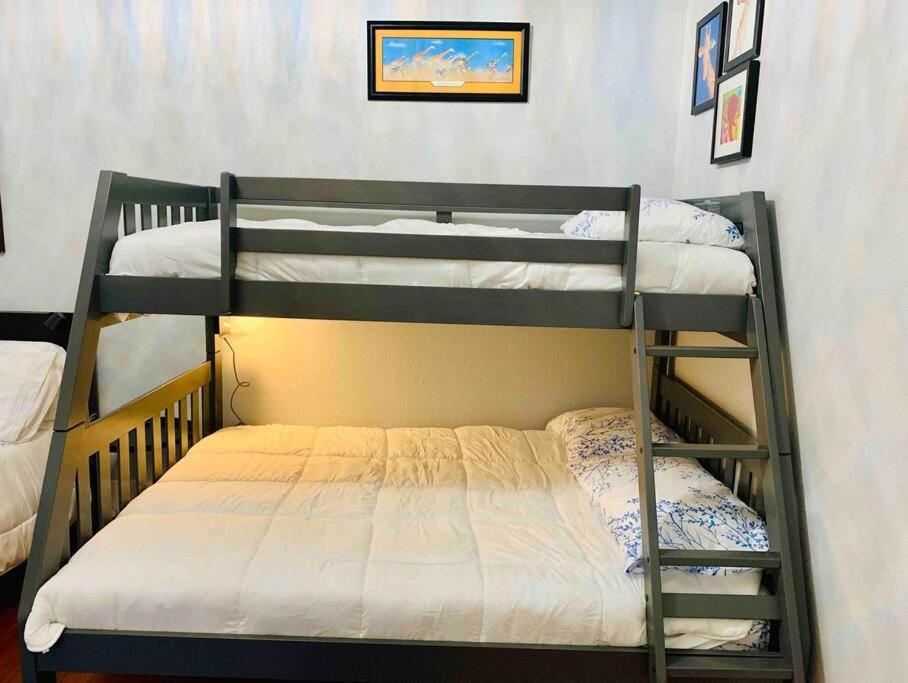 Pershing Place: Historic Home With Heated Spa/Pool By Zoo, Pearl, Golf, Witte San Antonio Extérieur photo