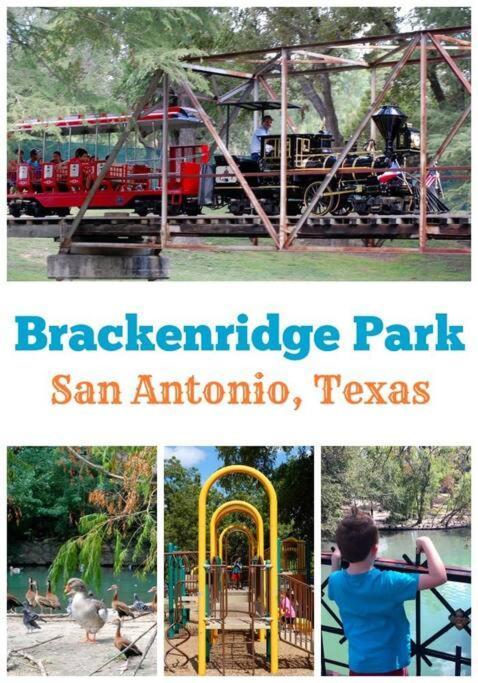 Pershing Place: Historic Home With Heated Spa/Pool By Zoo, Pearl, Golf, Witte San Antonio Extérieur photo